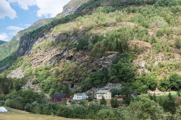 Landschappelijk Natuurbeeld Van Noorwegen Zomer — Gratis stockfoto