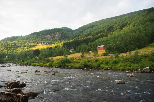 Vista Panorámica Naturaleza Noruega Verano — Foto de stock gratis