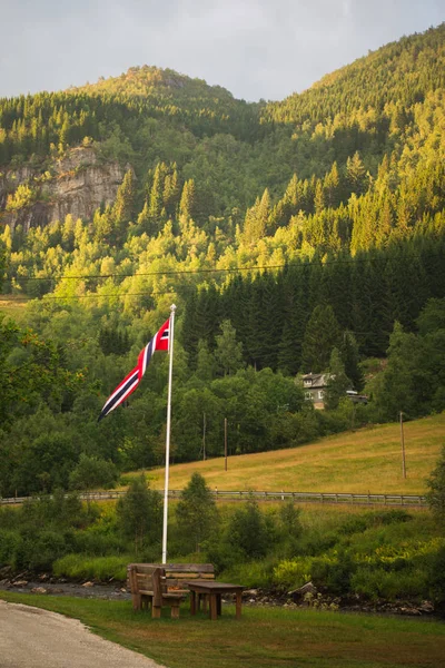 Vedere Scenică Norvegiei Timpul Verii — Fotografie de stoc gratuită