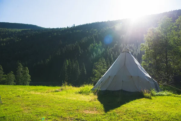 Letní Krajina Kempu Stan Lesa Gudvangen Neirofjord Norsko — Stock fotografie zdarma