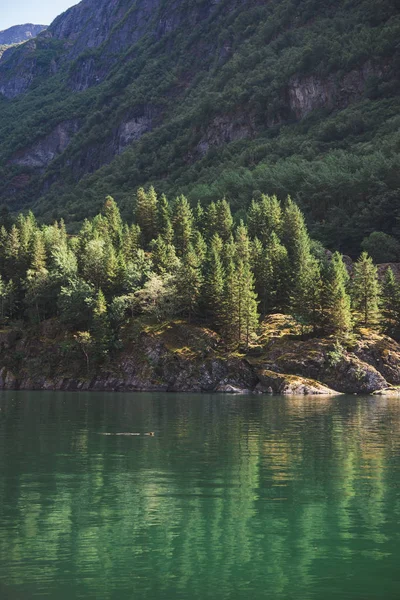 Scenic Nature View Norway Summer — Free Stock Photo
