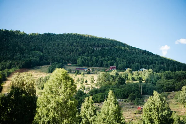 Vista Panoramica Della Norvegia Estate — Foto stock gratuita