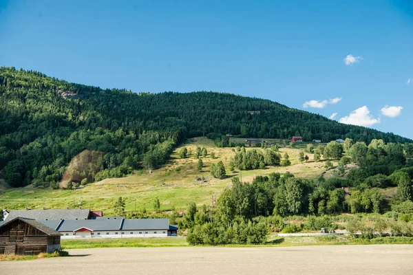Vista Panorâmica Natureza Noruega Verão — Fotografia de Stock Grátis