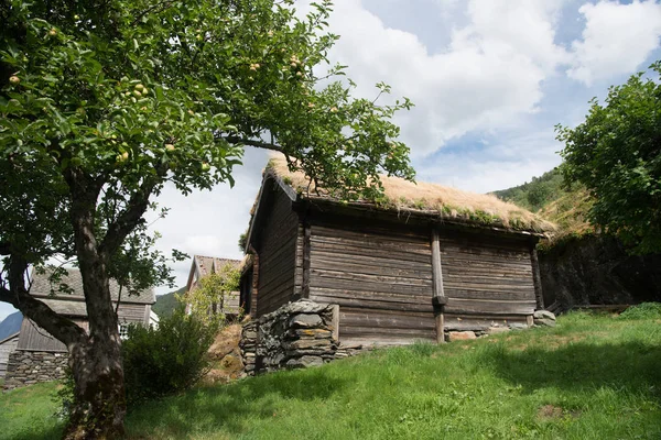 Beautiful Wooden House Village Norway — Free Stock Photo