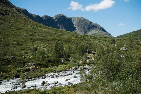 Paysage Majestueux Dans Parc National Jotunheimen Norvège — Photo gratuite