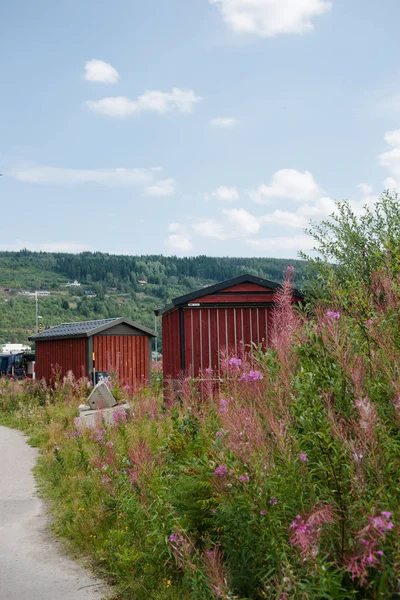 Natureza Cênica Trysil Maior Estância Esqui Noruega — Fotos gratuitas