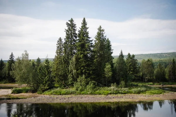 Řeka Věčně Zelené Stromy Březích Slunečním Svitu Trysil Největší Lyžařské — Stock fotografie zdarma
