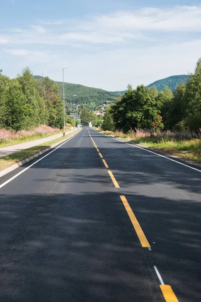 Trysil Yolu Norveç Büyük Kayak Merkezi — Ücretsiz Stok Fotoğraf