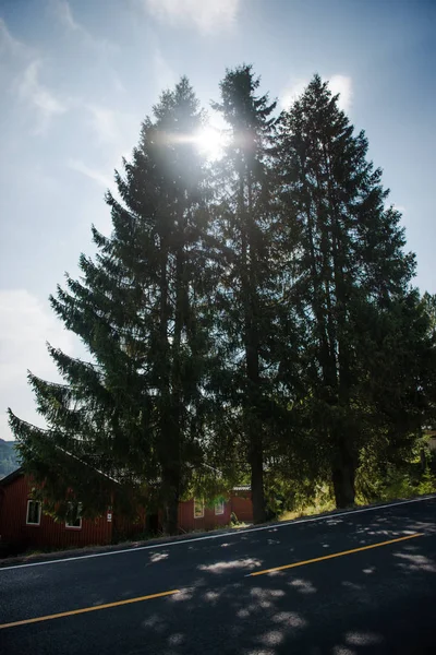 Drumul Din Trysil Cea Mai Mare Stațiune Schi Din Norvegia — Fotografie de stoc gratuită