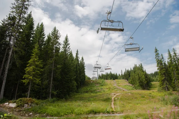 Teleférico Sobre Campo Floresta Trysil Maior Estância Esqui Noruega — Fotos gratuitas