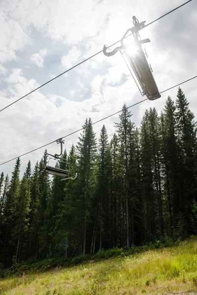 Лижний Підйомник Над Полем Лісу Найбільший Гірськолижний Курорт Trysil Норвегія — Безкоштовне стокове фото