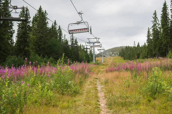 Telesilla Sobre Campo Bosque Trysil Estación Esquí Más Grande Noruega — Foto de stock gratuita