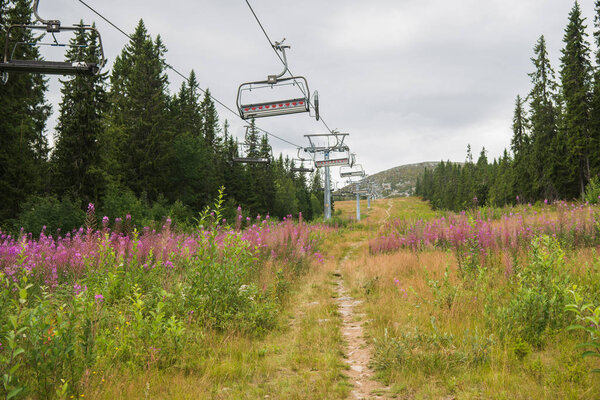 Ski lift over field and forest in Trysil, Norway's largest ski resort 