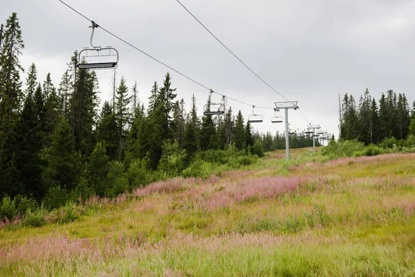 Лижний Підйомник Над Полем Лісу Найбільший Гірськолижний Курорт Trysil Норвегія — Безкоштовне стокове фото