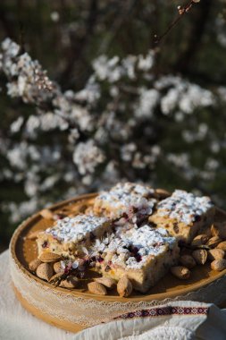 Yaban mersinli kek. Tatlı Paskalya pastası. Frenk üzümlü kek. Manzarayı kapat. Seçici odaklanma. Yabanmersinli kek ve çiçek açan ağaçlarda ev yapımı süzme peynir. Bahçede atış..