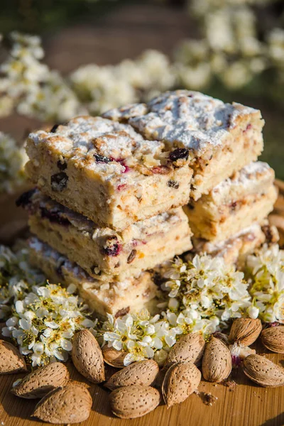 Blueberry Crumble Cake. Easter sweet dessert cake. Black currant cake. Close up view. Selective focus. Crumble cake with blueberries and homemade cottage cheese in blooming trees. Outdoor shooting in garden.