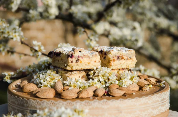 Blaubeer Streuselkuchen Ostersüße Desserttorte Schwarze Johannisbeerkuchen Blick Aus Nächster Nähe — Stockfoto