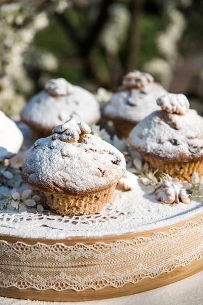 Lekkere Vanille Cupcakes Met Rozijnen Zelfgemaakte Muffin Cupcake Met Suikerpoeder — Stockfoto