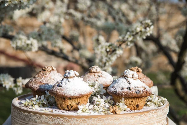 Leckere Vanille Cupcakes Mit Rosinen Hausgemachter Muffin Cupcake Mit Zuckerpuder — Stockfoto