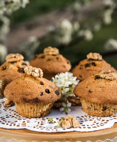 Tasty vanilla cupcakes with raisins. Homemade muffin cupcake with sugar powder. Easter sweet dessert cake. Close up view. Cupcakes in blooming trees. Outdoor shooting in garden.