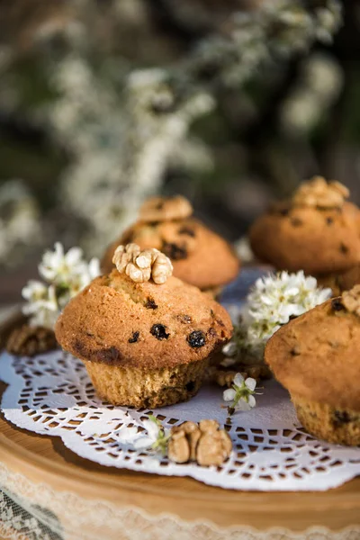 Finom Vaníliás Muffinok Mazsolával Házi Készítésű Muffin Muffin Cukorporral Húsvéti — Stock Fotó