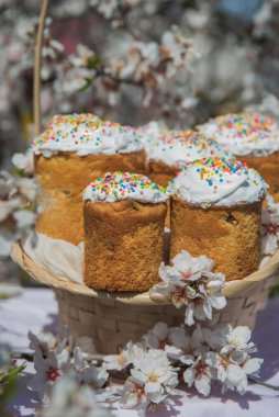 Sepette paskalya pastası. Çiçek ağaçlarında beyaz tepeli ev yapımı Paskalya pastası. Paskalya Tatili, Paskalya Dekorasyonu. Paskalya Kartı Şablonu.
