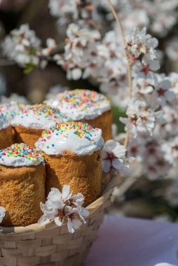 Sepette paskalya pastası. Çiçek ağaçlarında beyaz tepeli ev yapımı Paskalya pastası. Paskalya Tatili, Paskalya Dekorasyonu. Paskalya Kartı Şablonu.