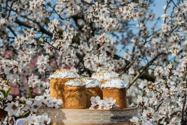 Easter cakes in basket. Homemade easter cake with white topping in blooming flowers trees. Easter Holiday, Easter decor. Easter Postcard Template.