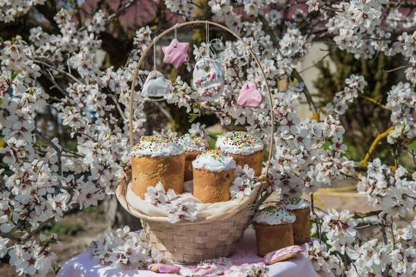 Easter cakes in basket. Homemade easter cake with white topping in blooming flowers trees. Easter Holiday, Easter decor. Easter Postcard Template.