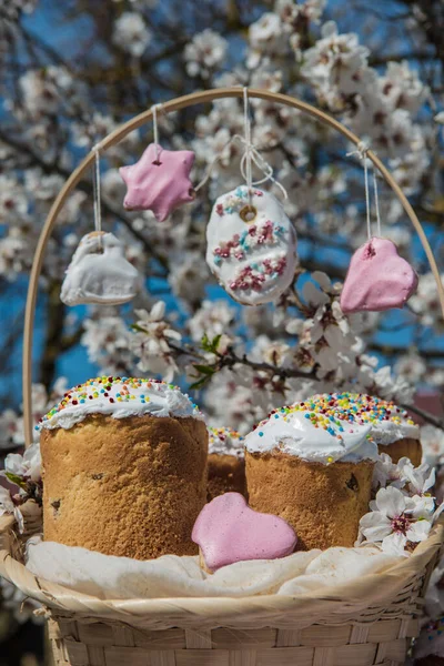 Easter cakes in basket. Homemade easter cake with white topping in blooming flowers trees. Easter Holiday, Easter decor. Easter Postcard Template.