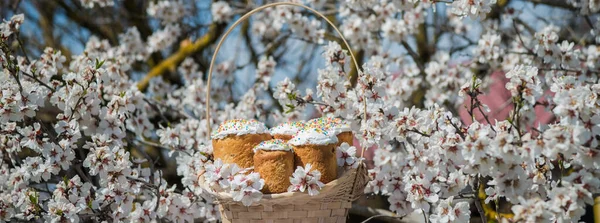 Easter cakes in basket. Homemade easter cake with white topping in blooming flowers trees. Easter Holiday, Easter decor. Easter Postcard Template.