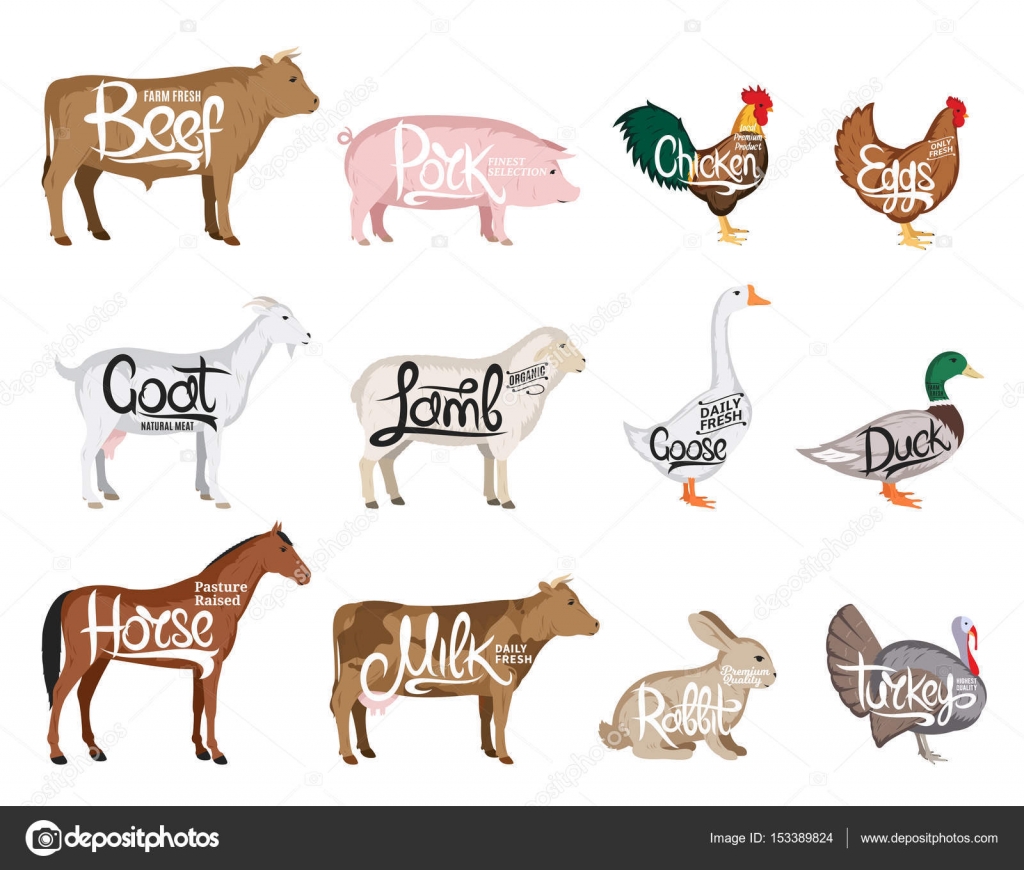 Vector farm animals collection. Butchery icon templates Stock Vector Image by ©Counterfeit #153389824 Vector farm animals collection. Butchery icon templates Stock Vector Image by ©Counterfeit #153389824