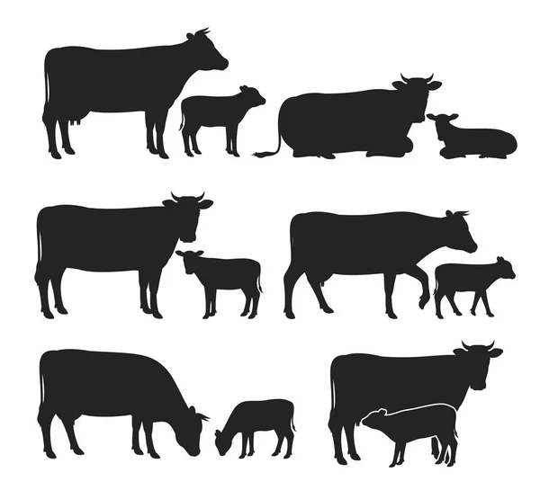 Коллекция векторных силуэтов коров и телят — стоковый вектор