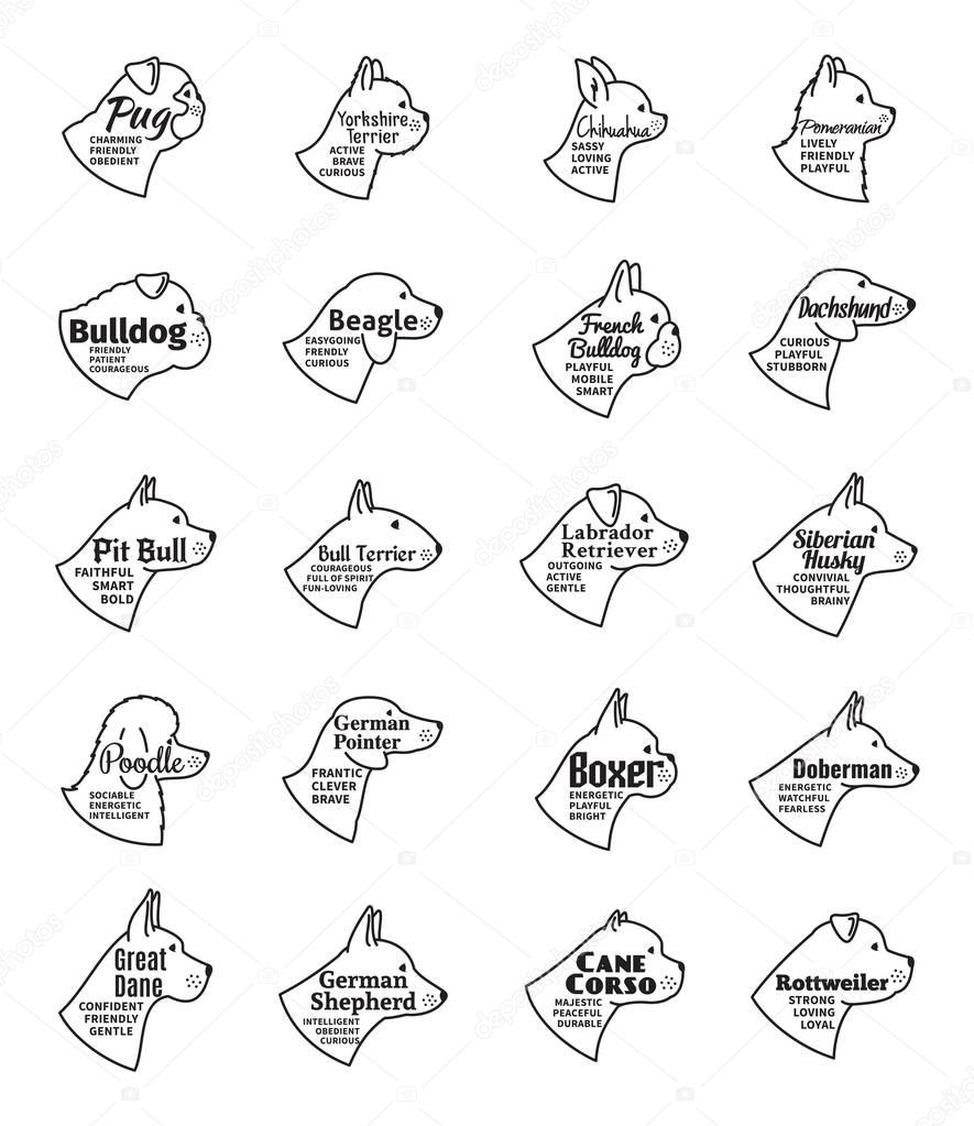 Vector dog icons collection isolated on white. Dogs breeds names