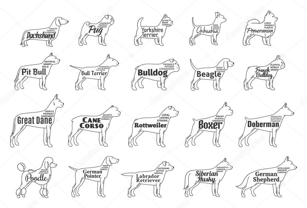 Vector dog icons collection isolated on white. Dogs breeds names