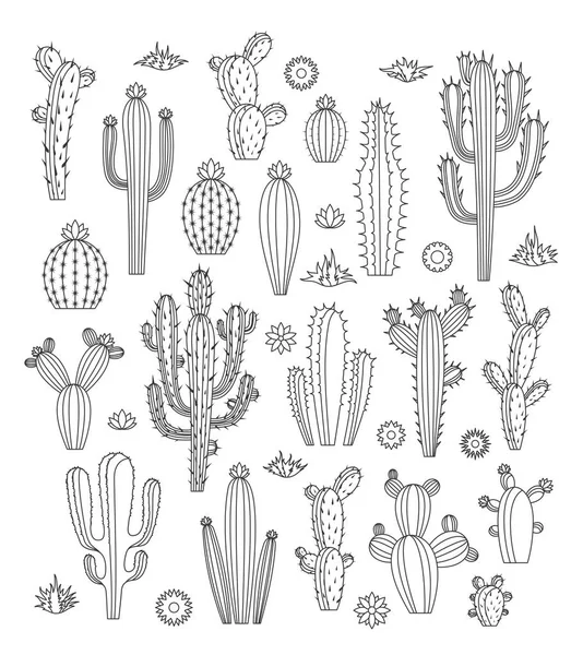 Vector cactus icons — Stock Vector