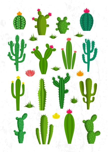 Vector cactus icons — Stock Vector