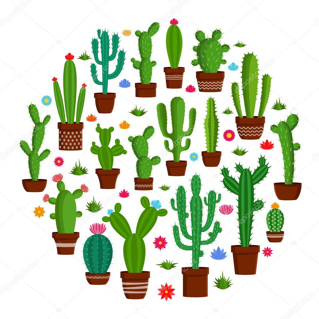 Vector cactus icons