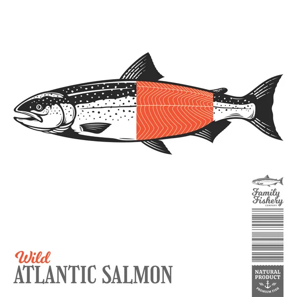 Vettore Selvatico Atlantico Pesce Salmone Illustrazione — Vettoriale Stock