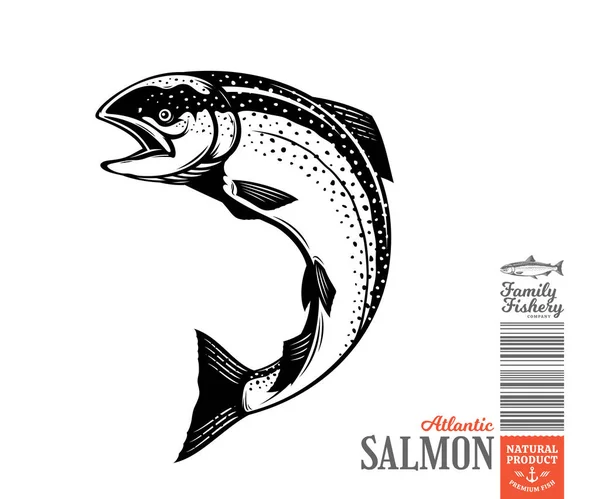 Vector Saltando Salmón Ilustración Pescado Aislado Sobre Fondo Blanco — Vector de stock