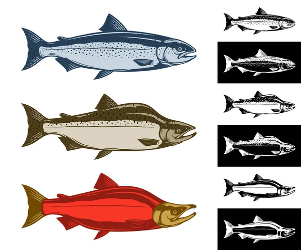 Colección Iconos Salmón Vectorial Aislados Diferentes Fondos — Vector de stock