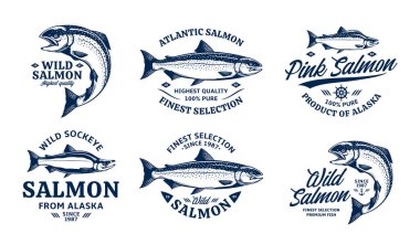 Beyaz arka planda vektör somon logosu. Atlantik, chinook, somon balığı ve pembe somon balığı çizimleri. Deniz ürünleri etiketleri tasarımı