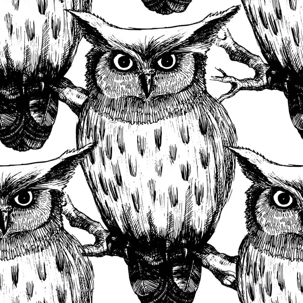 Modèle vectoriel sans couture avec hibou. Noir et blanc. Dessiné à la main de chouettes. (') — Image vectorielle