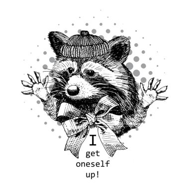 Vektör Rakun örme şapka ile. Tebrik, Selam. Merhaba beş.