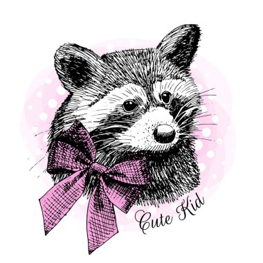 Pembe fiyonklu vektör Rakun. Tebrik, Selam. Merhaba beş.