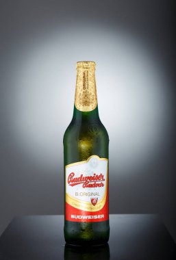Minsk, Beyaz Rusya - 06 Aralık 2017: Budweiser tek bir şişe.