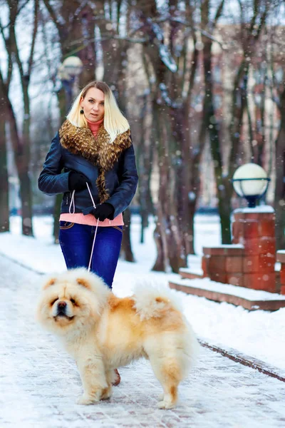 Meisje lopen met een hond chow-chow — Stockfoto