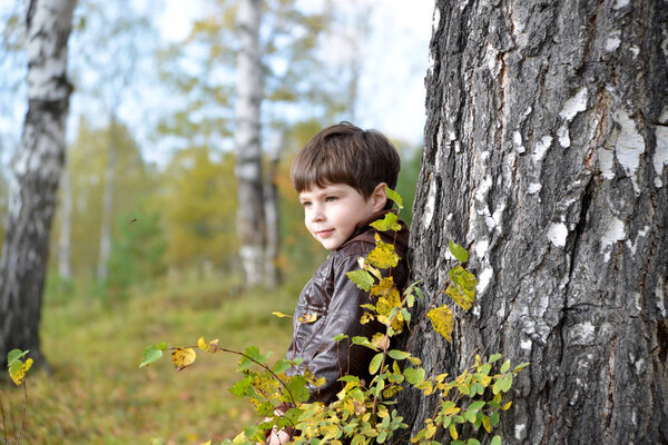 Little boy at a birch in an autumn forest