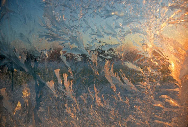 Frosty pattern on window Royalty Free Stock Images