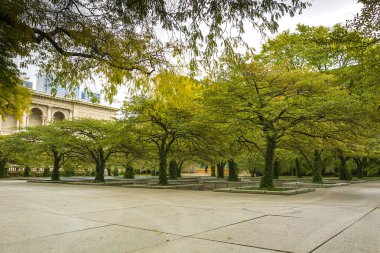 alıç ağaçları Chicago